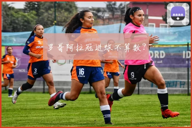 罗哥阿拉冠进球不算数?