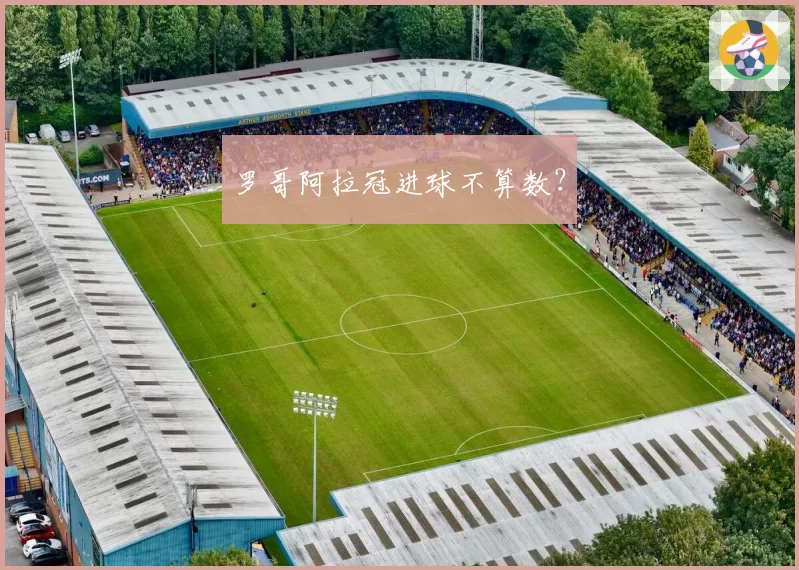 罗哥阿拉冠进球不算数?